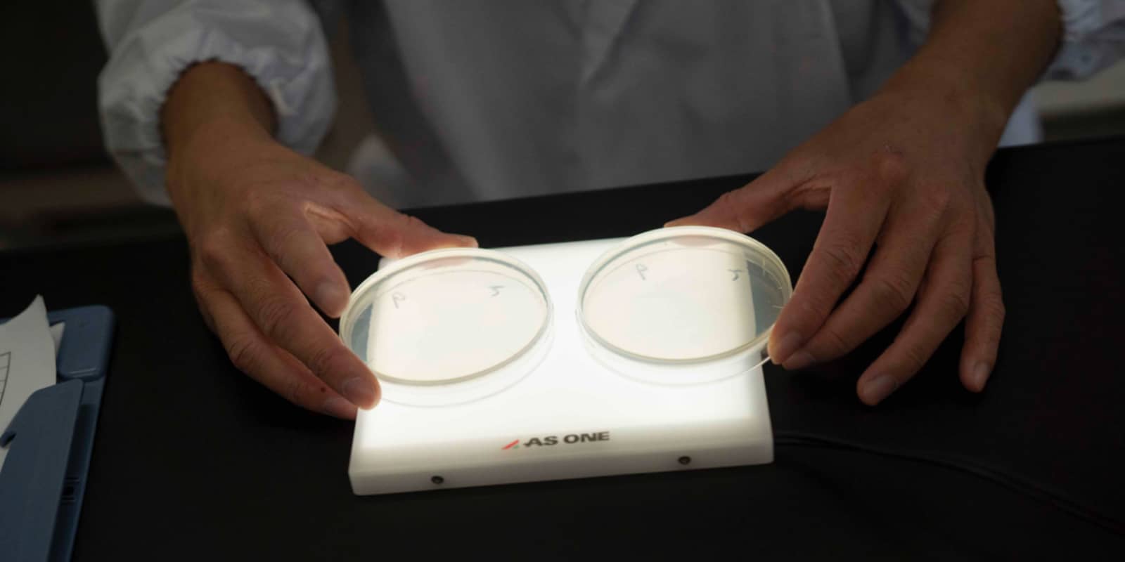 藤原成也の写真