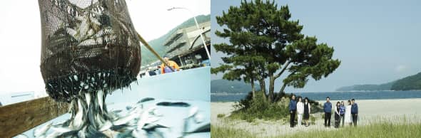 研修制度の写真